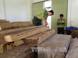 Thu giữ 77 hộp gỗ không rõ nguồn gốc 